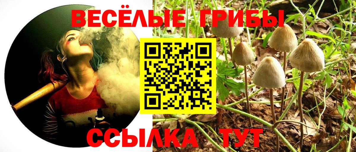 Галлюциногенные грибы Cubensis  Вход с VPN  Уварово 