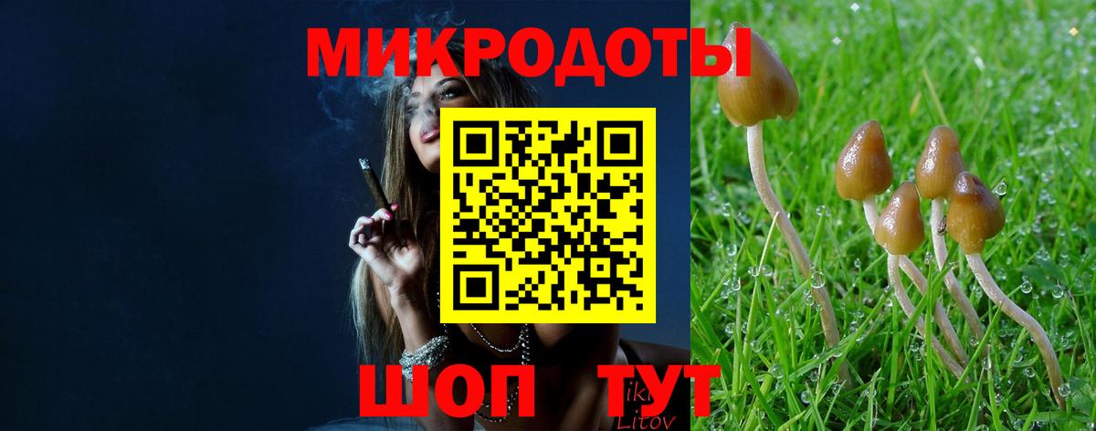 Псилоцибиновые грибы GOLDEN TEACHER Уварово